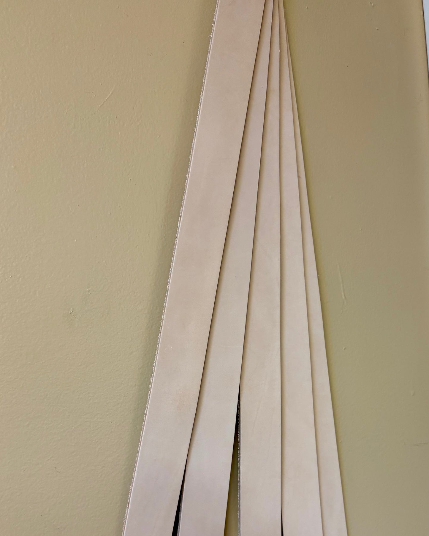 Live Oak Belt Blank 1 1/2"